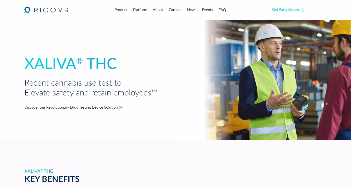 What does a software engineer do?