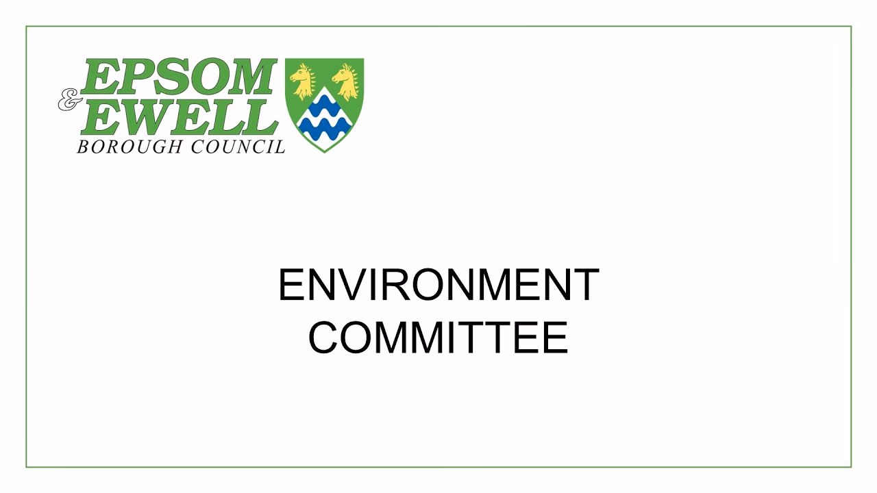 Who governs Epsom & Ewell Borough Council?