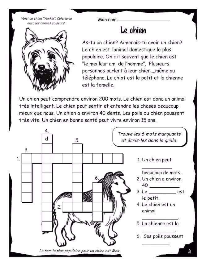 D'où vient l'expression 