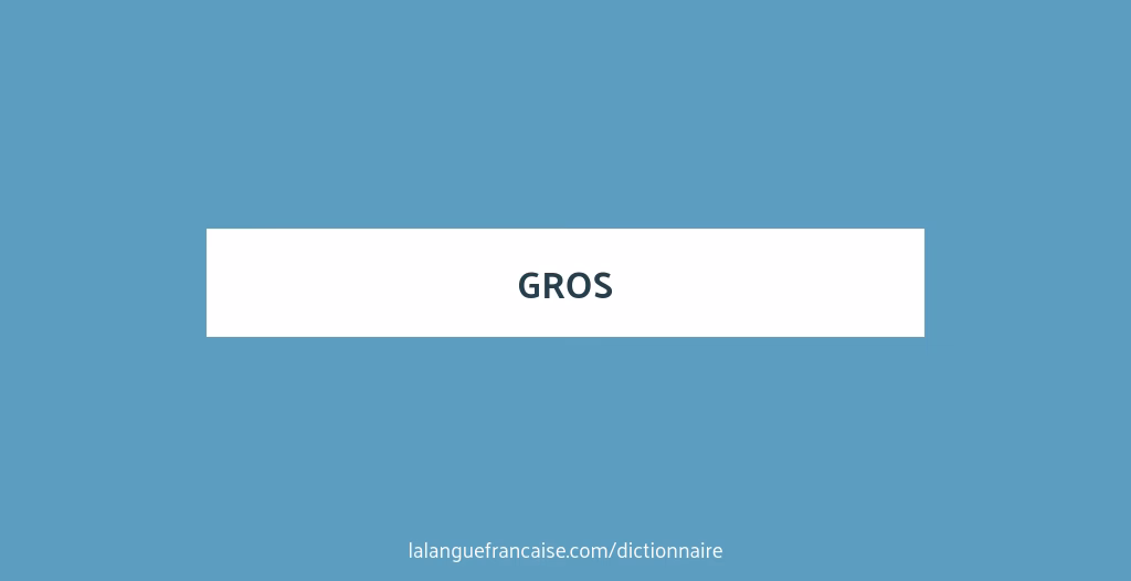 Quelle est l'origine du mot gros ?