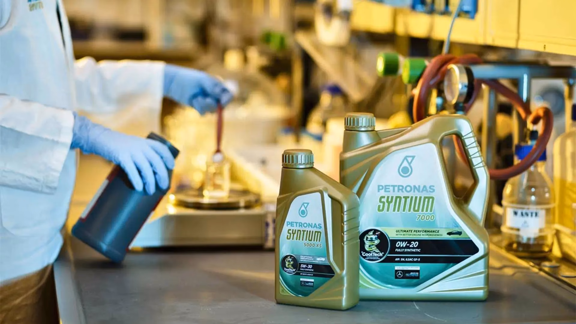 What services are available in Palmerston North?