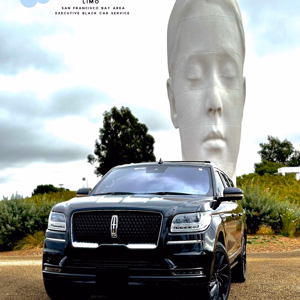 What is Black Car & Limo Service?