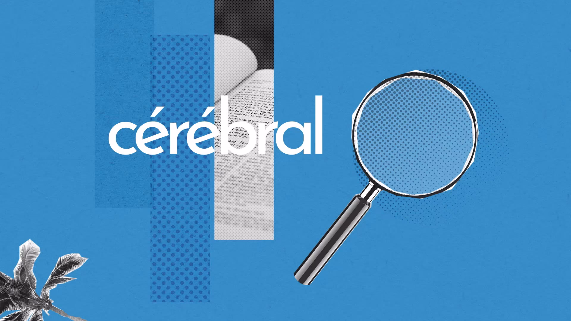 Qu'est-ce que l'anatomie du cerveau ?