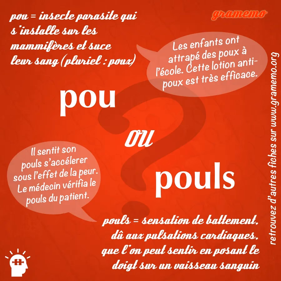 Quels sont les proverbes avec les mots poule, poulet, oeufs?