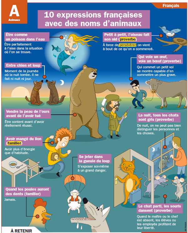 Quelle est la définition de vitesse ?