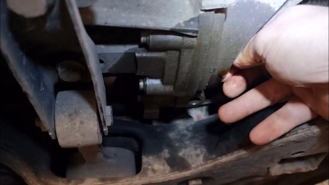 What oil do I need for a Skoda Fabia 6Y5?