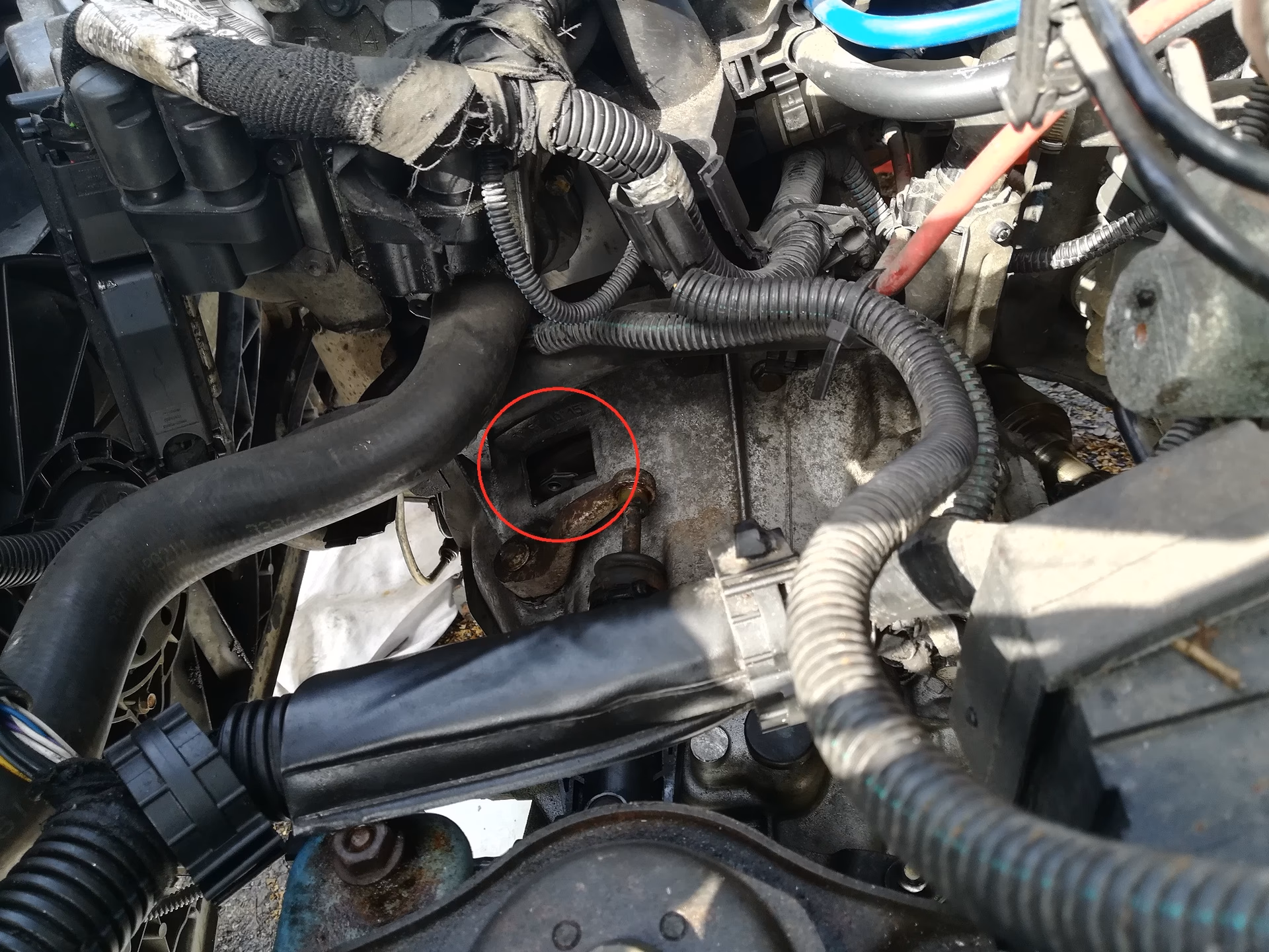 How do I change Dualogic oil?