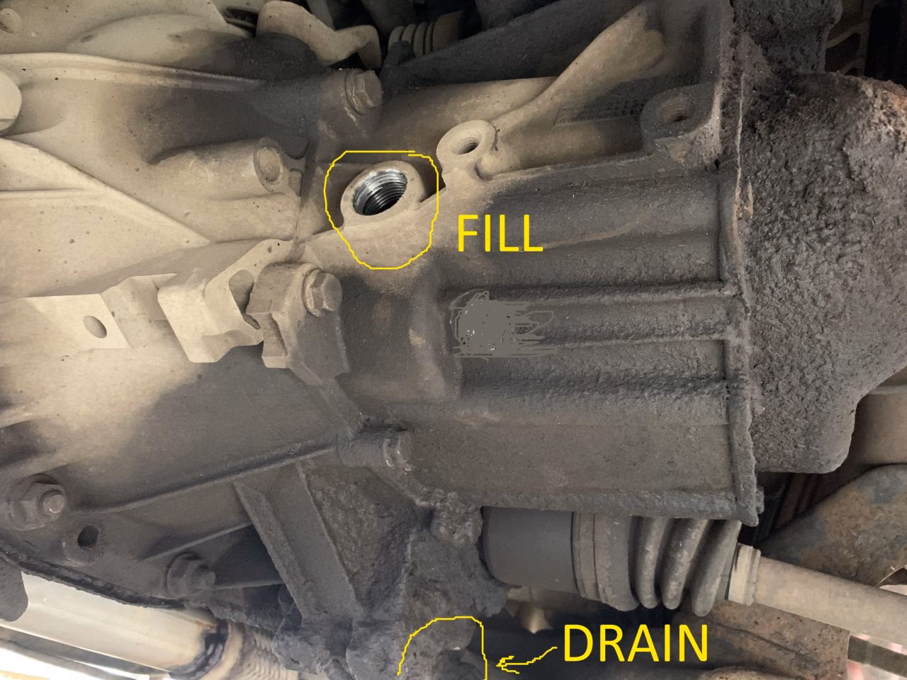 What is a Fiat Punto profile?