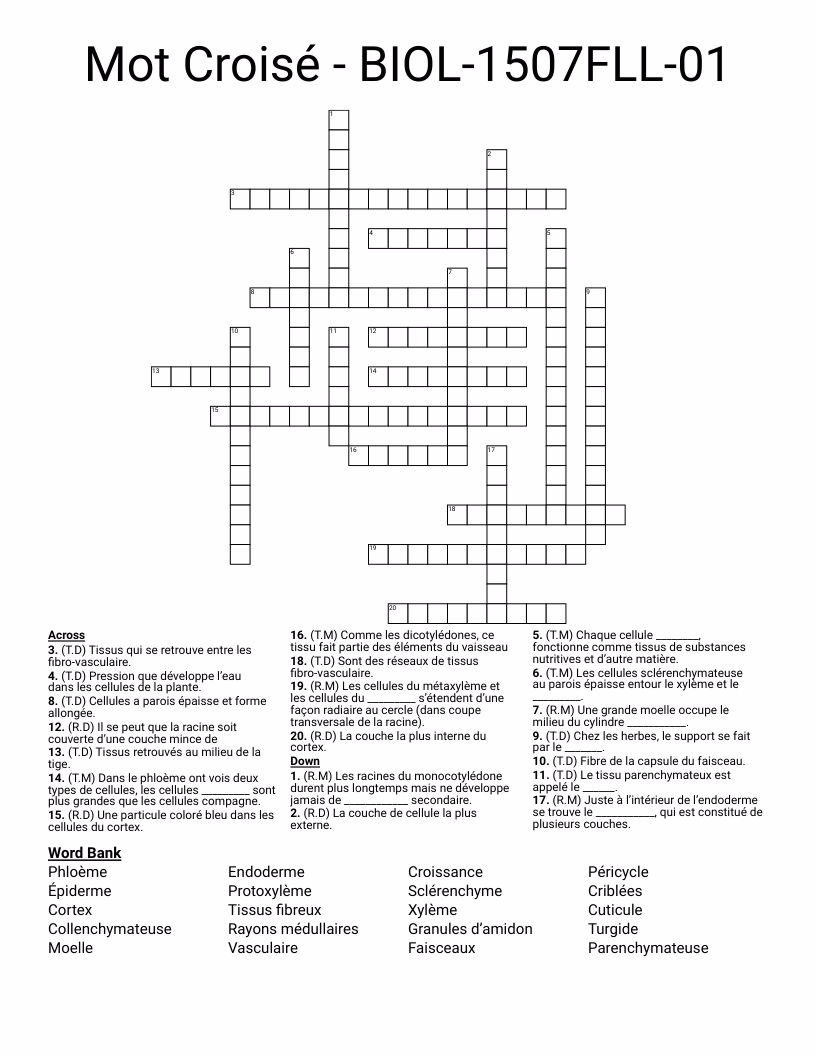 Quels sont les différents types de fibres ?