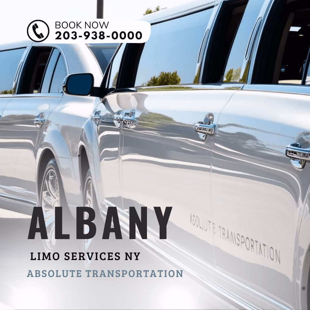 Where can I rent a car at Albany International Airport?