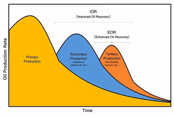 When did liquid and gas flow in petroleum production systems start?