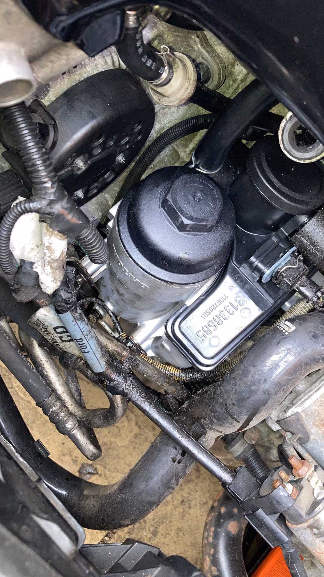 How do I replace the OE oil diaphram on my St focus?