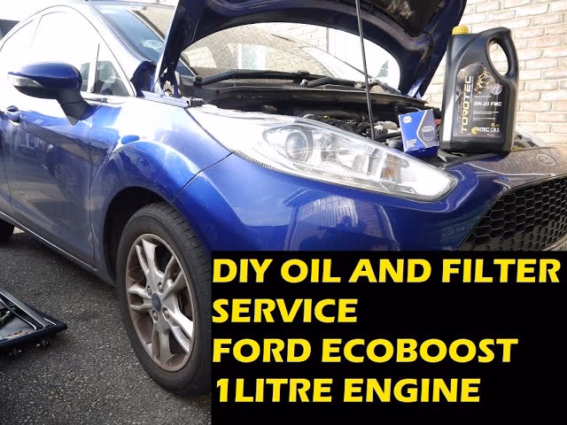 How did you service your Fiesta 2018?