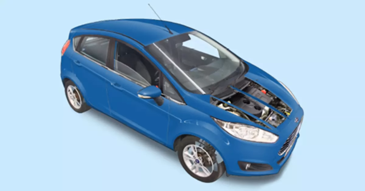How often should a Fiesta engine be serviced?