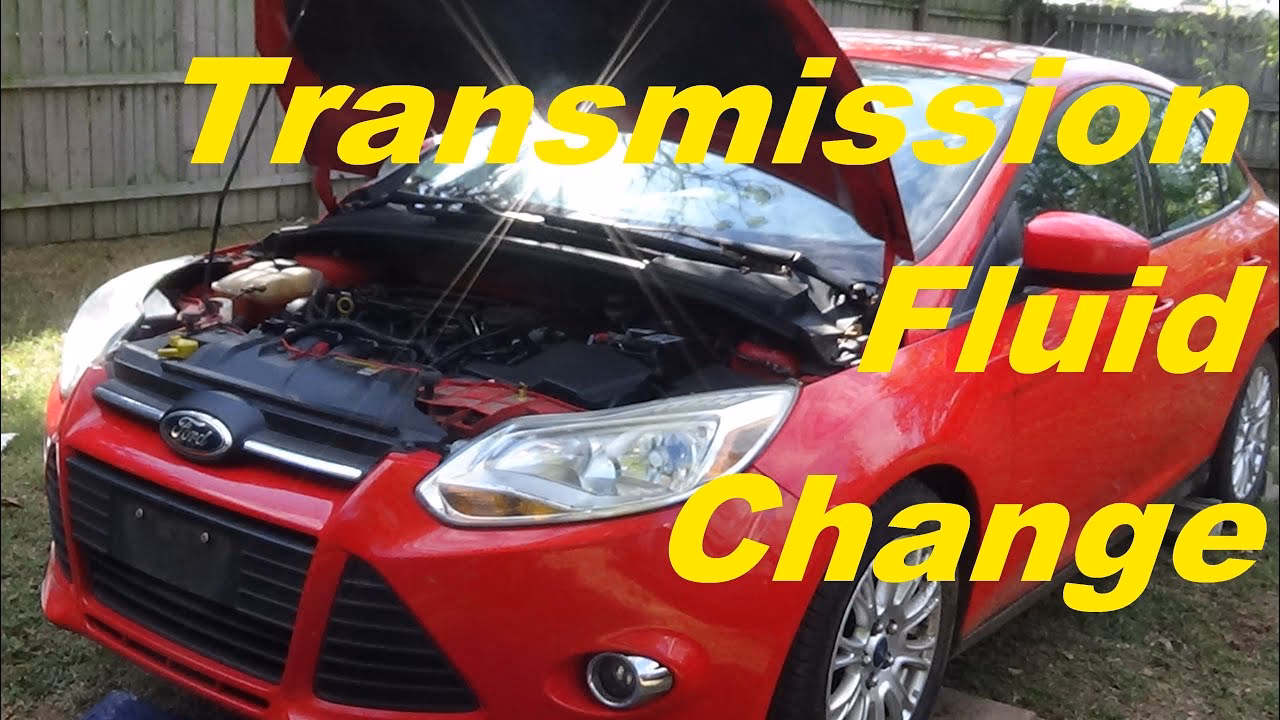 Can a dealer flush a Ford Focus?