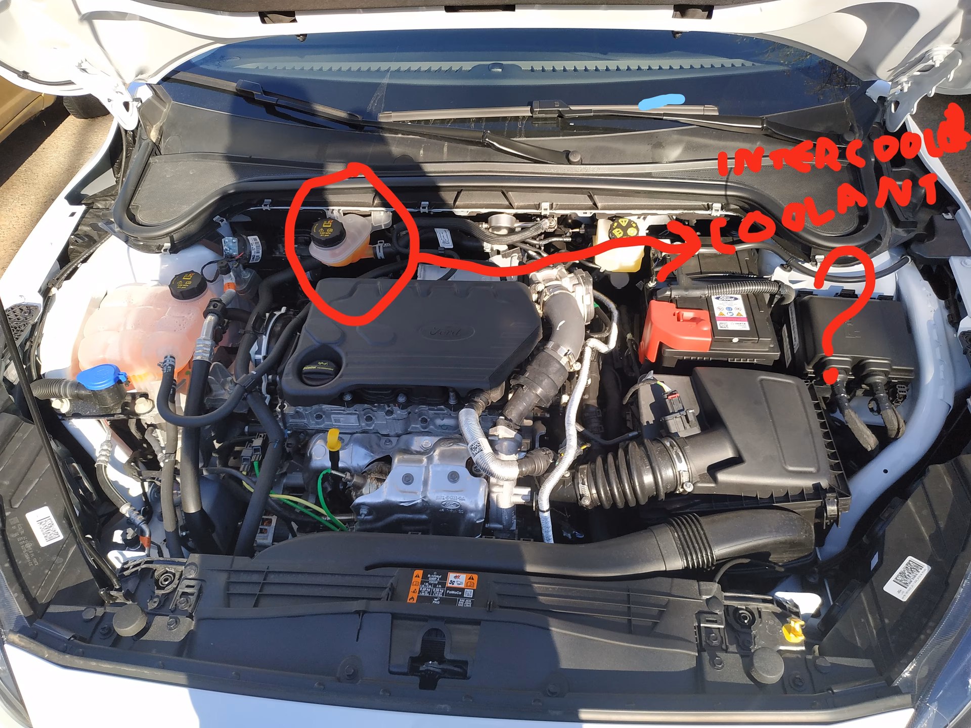 What year is focus Mk4 hatchback (HN)?