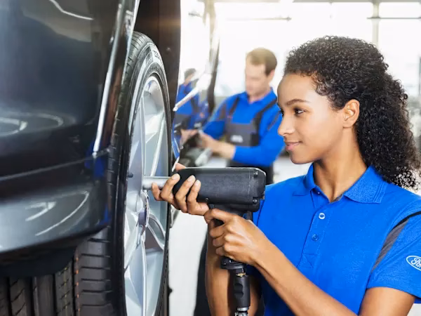 Where is Haynes Brothers Ford service Maidstone?