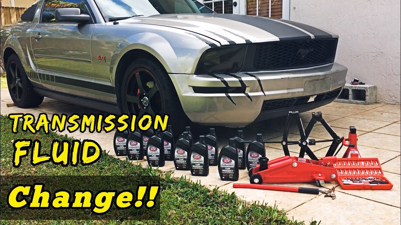 How much does a Ford Mustang automatic transmission filter cost?