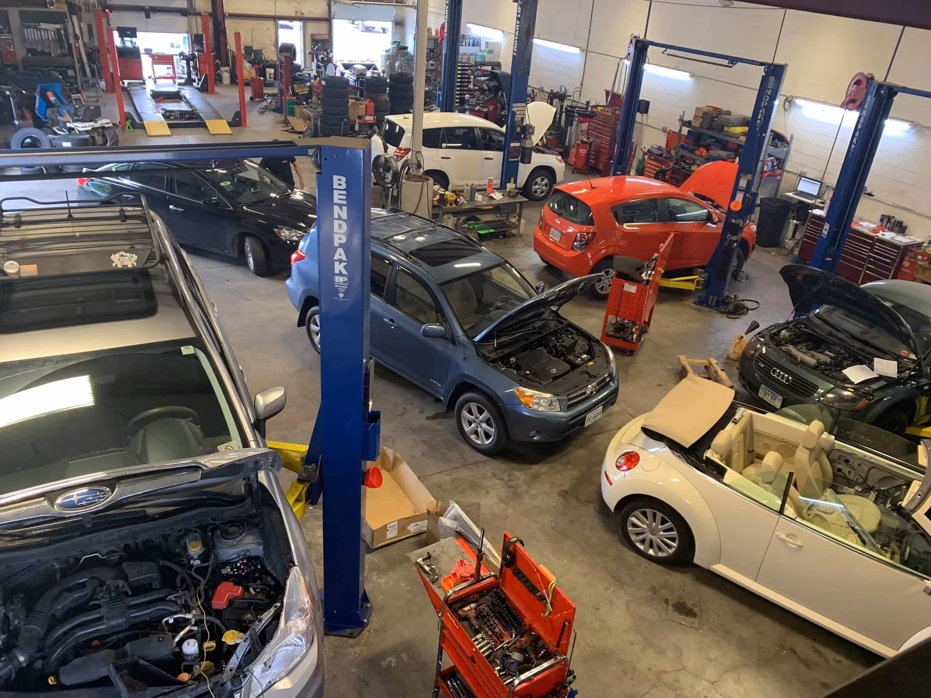 Who is Winchester foreign & domestic?