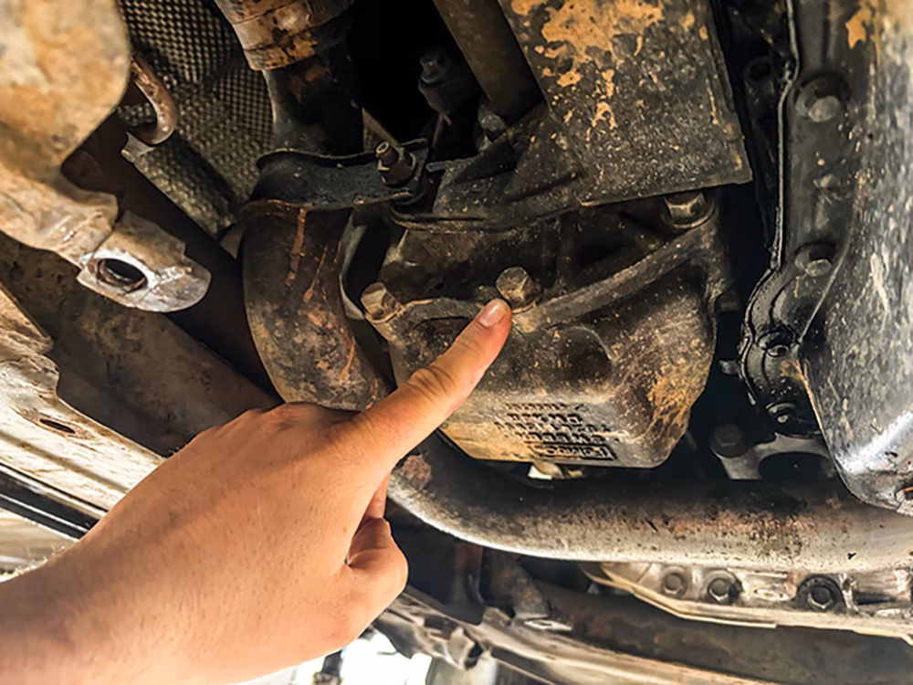 How to change engine oil on Land Rover Freelander 2?