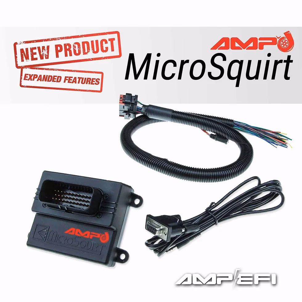 What is a microsquirt module?