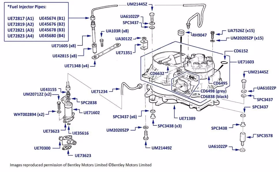 What models are covered in this Bentley workshop manual?