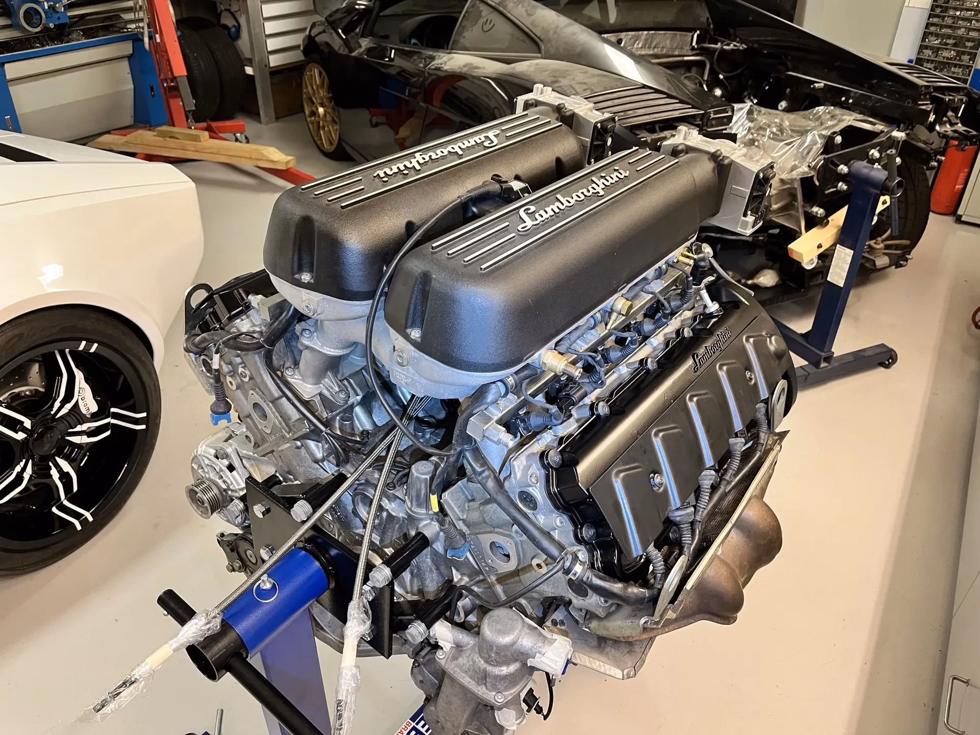 How much does a used Gallardo cost?