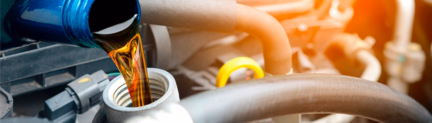 Where can I find auto services in Lake City FL?