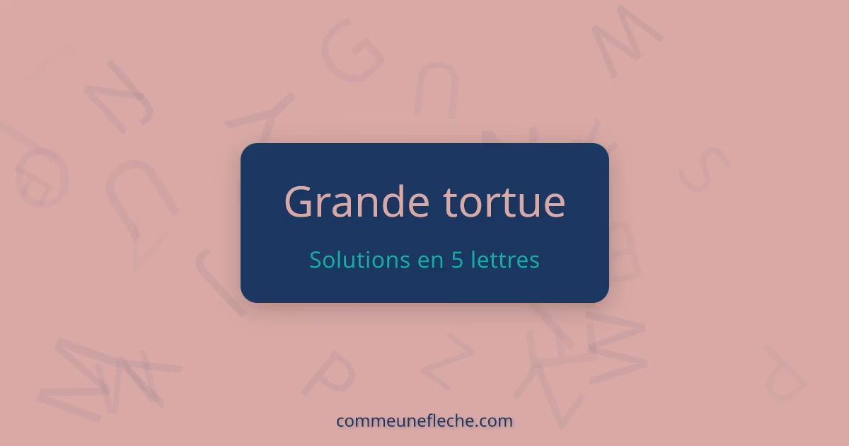 Combien y a-t-il de solutions pour grande tortue ?