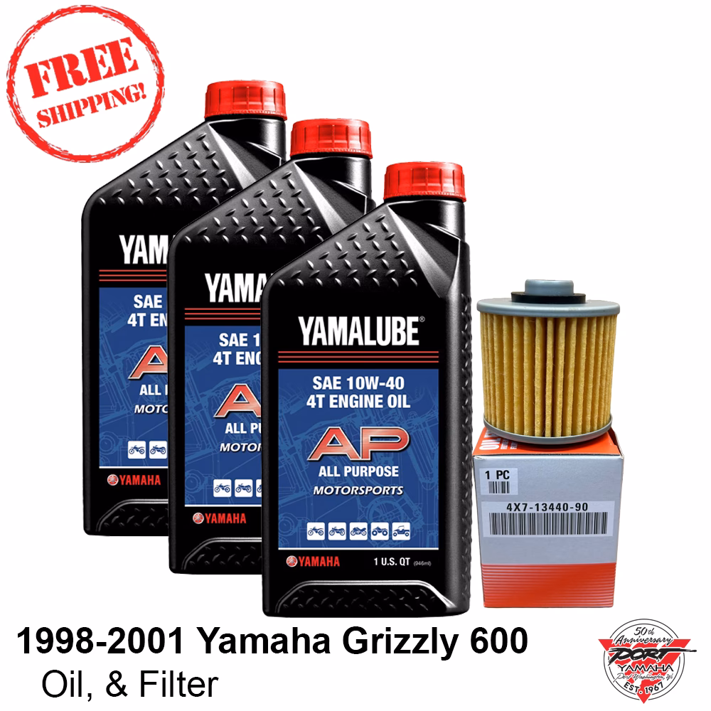 How does a Yamaha efm600 Grizzly fuel system work?