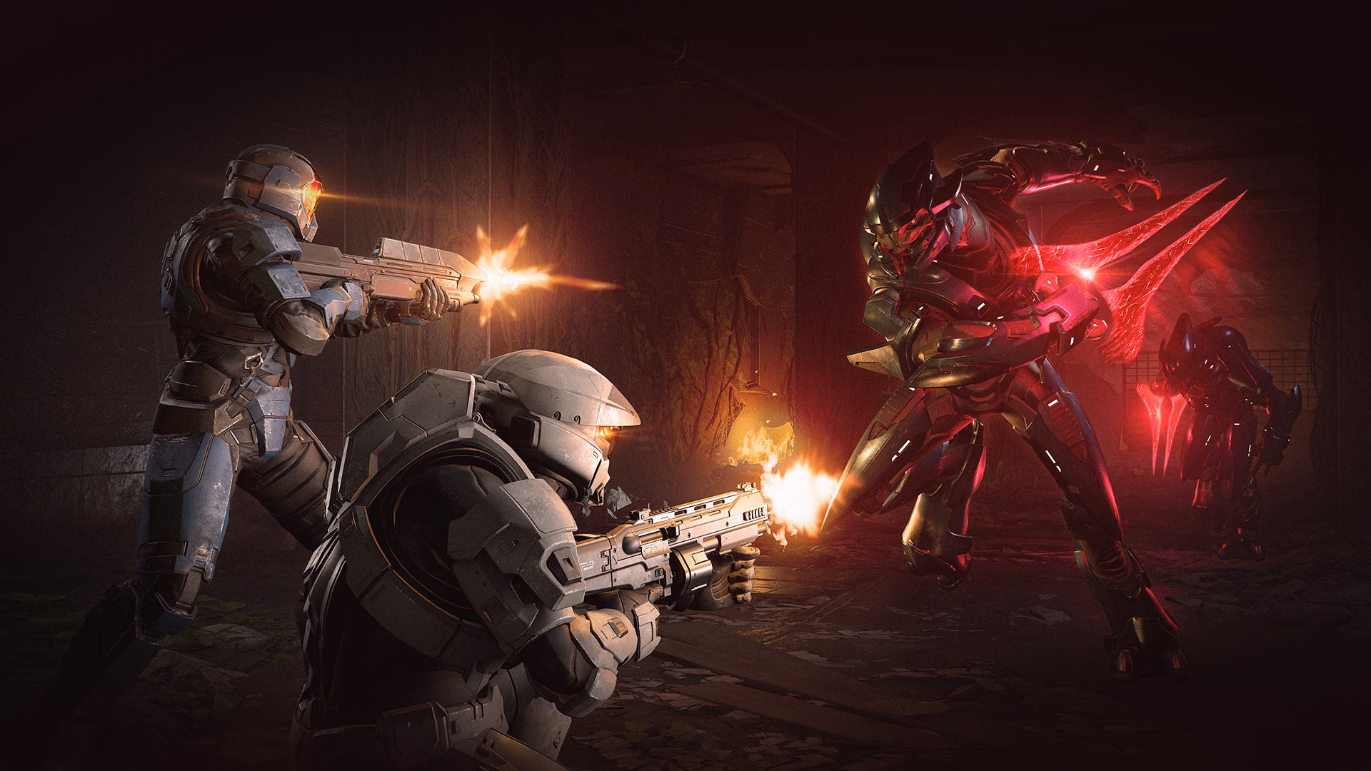 Why should you choose Halo for car repairs in Manchester?