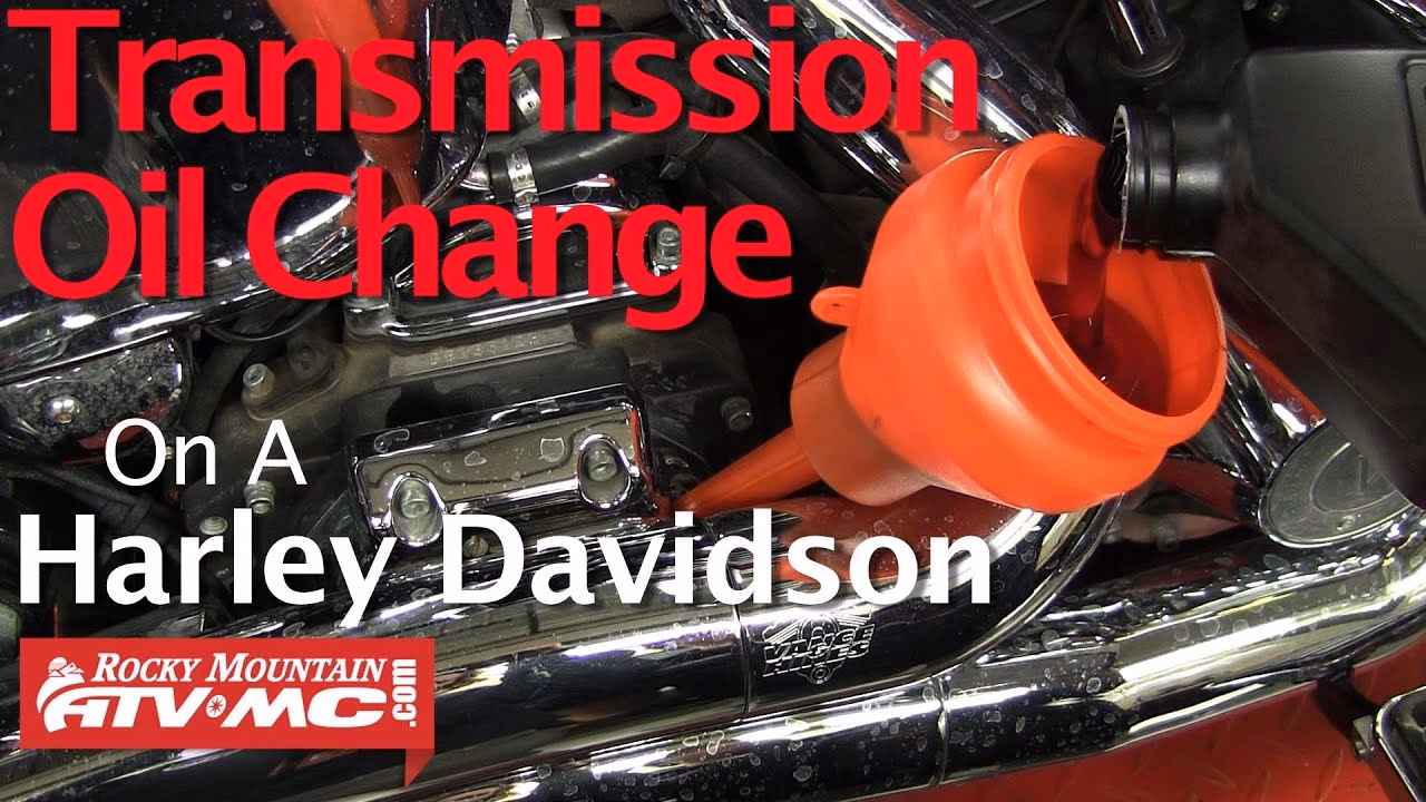 How often should a Harley transmission fluid be changed?