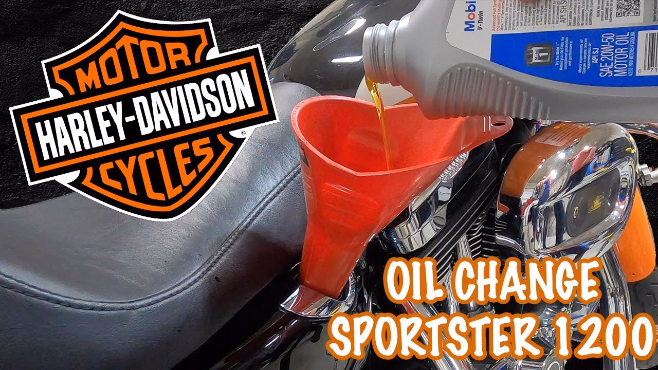 Does a 1986 Sportster have an oil change?