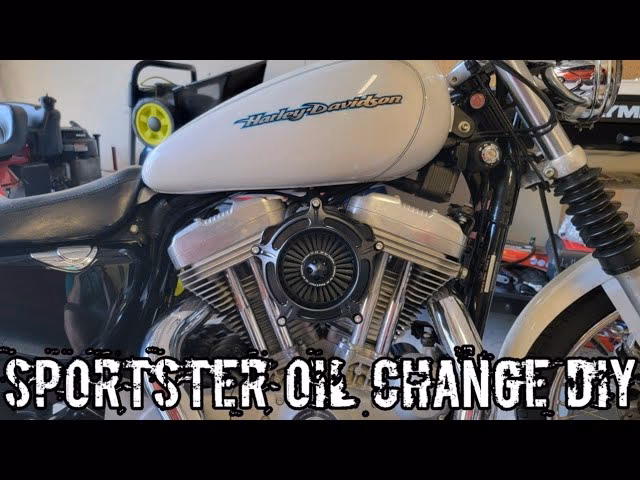 How often should a Harley Davidson fuel filter be replaced?
