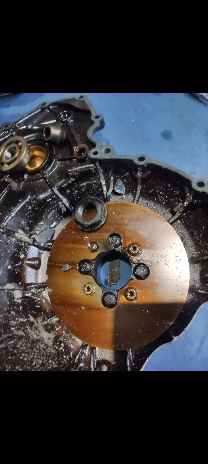 Why does MY BMW clutch rattle a lot?