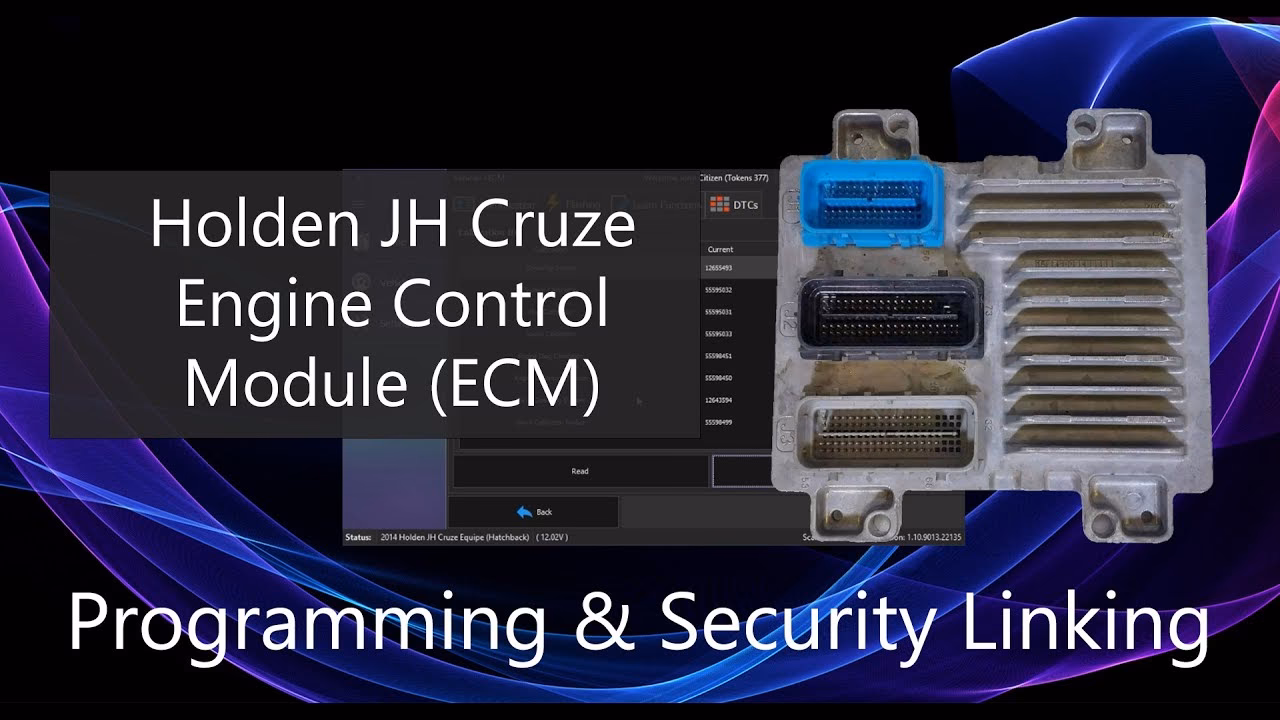 How much does it cost to reprogram a Holden ECU?