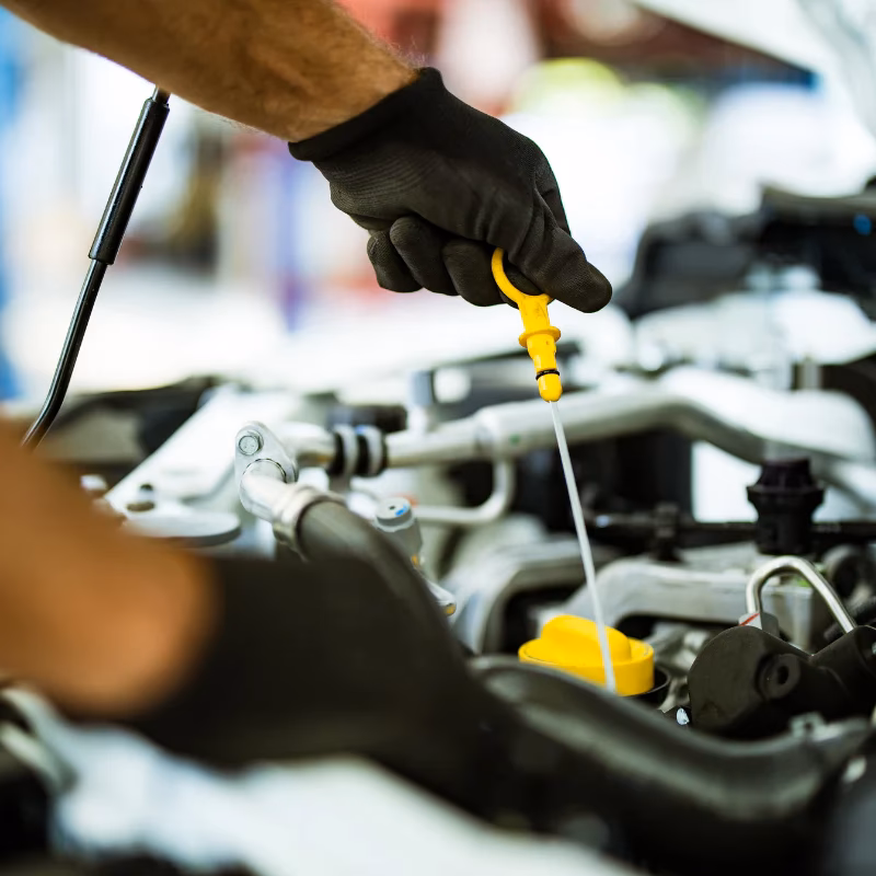 Why do you need a Honda Service department in Bakersfield?