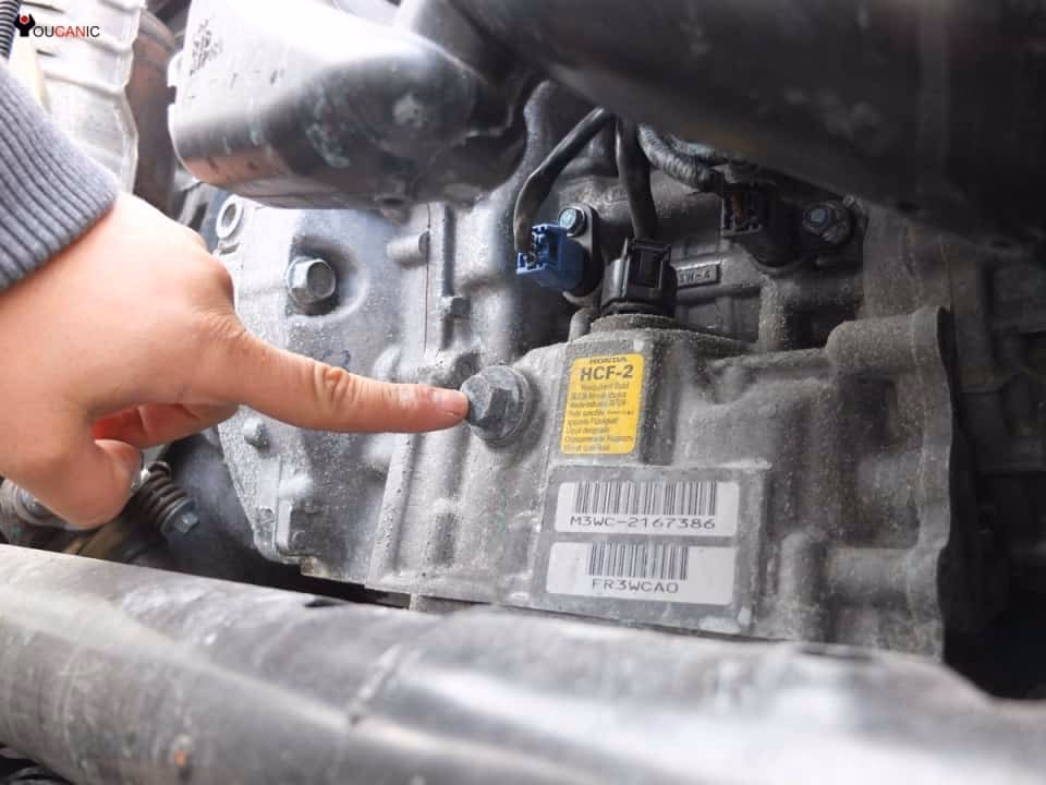 How often should a Honda Civic transmission fluid be changed?