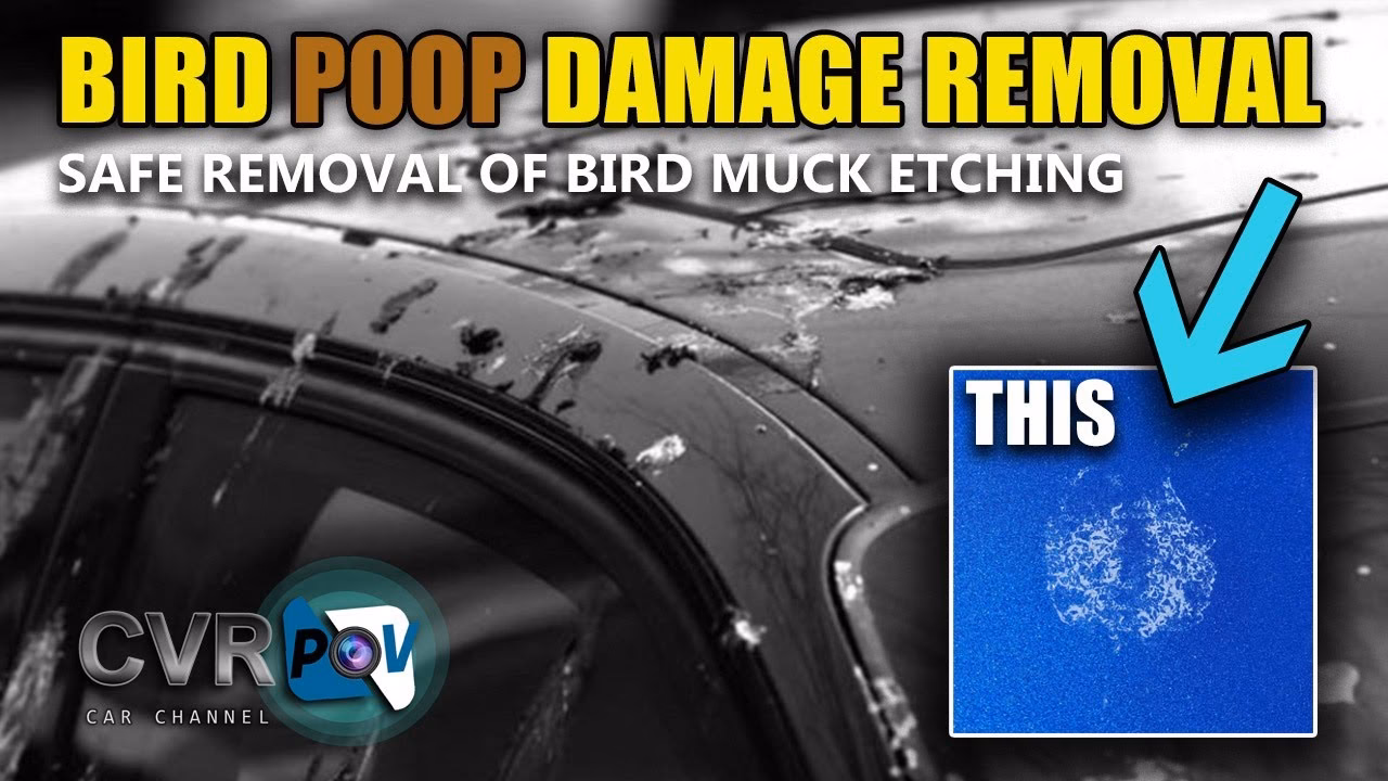 Can bird poop stains damage car paint?