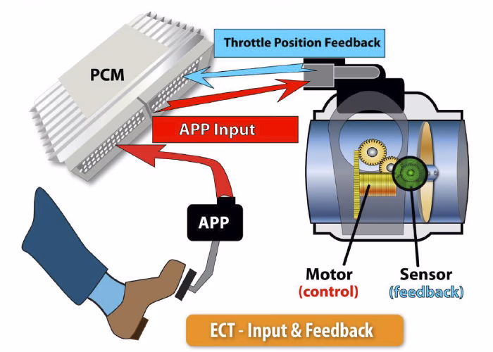 How does ECM control fuel injectors?