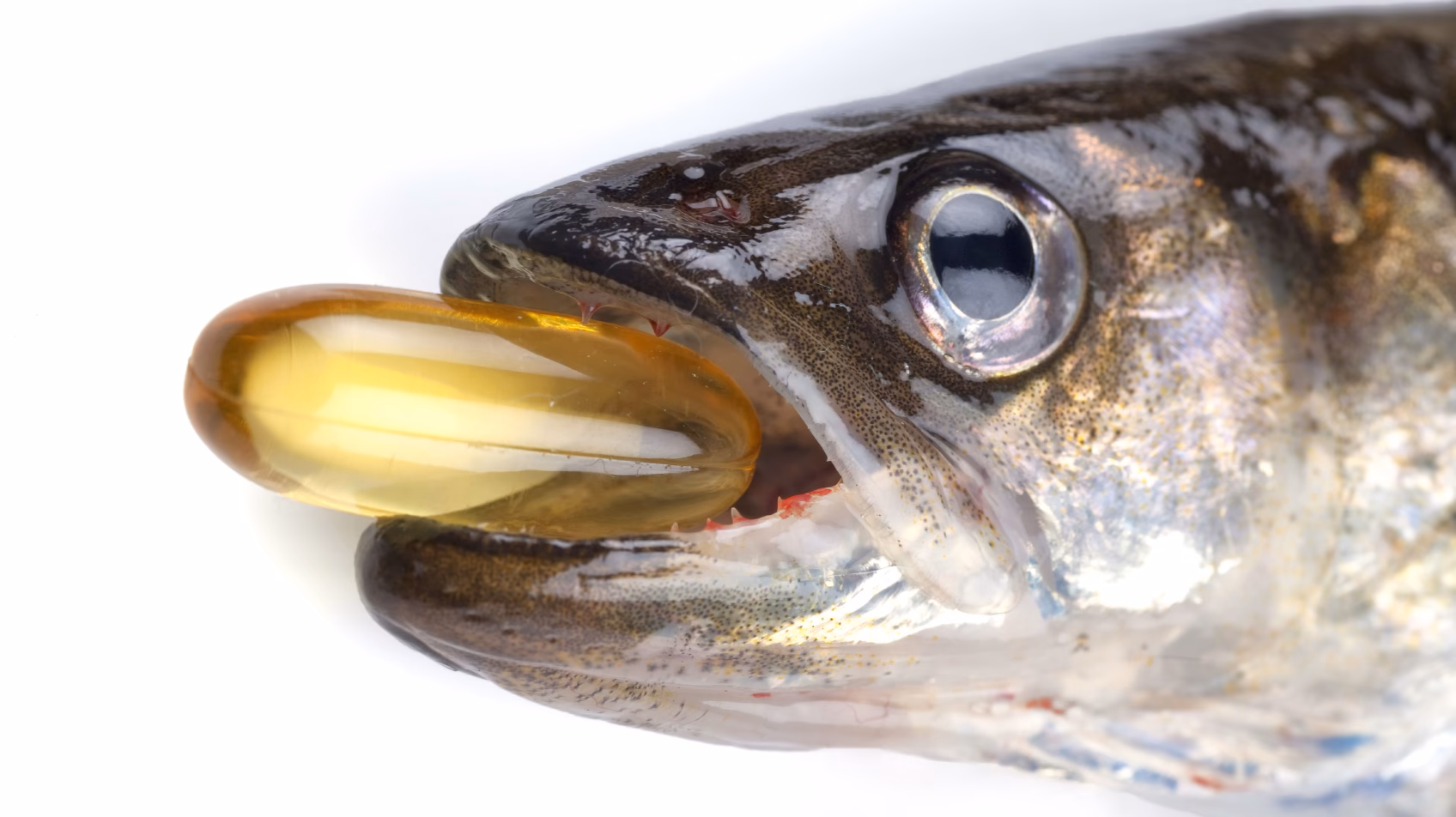 Does fish oil affect mental health?
