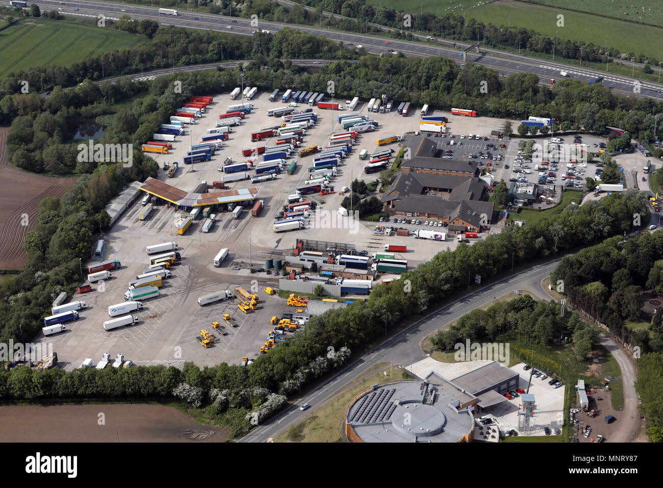 What is Lymm services?