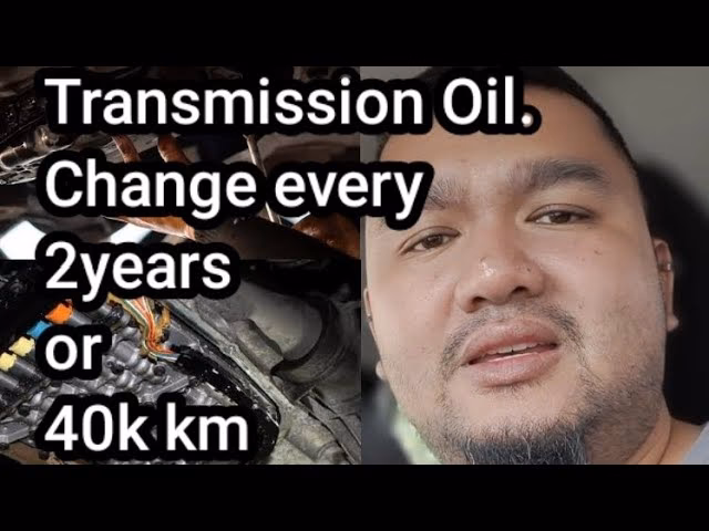 How much transmission fluid do I Need?