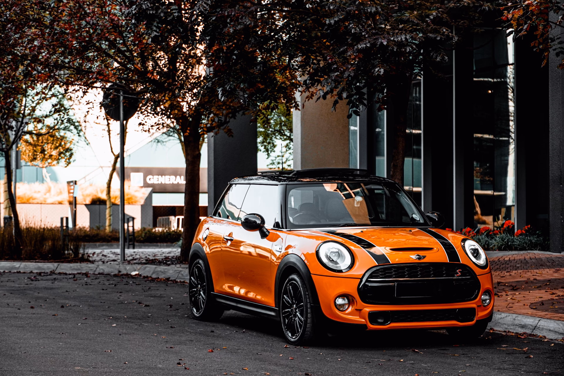 How much does a mini oil change cost?