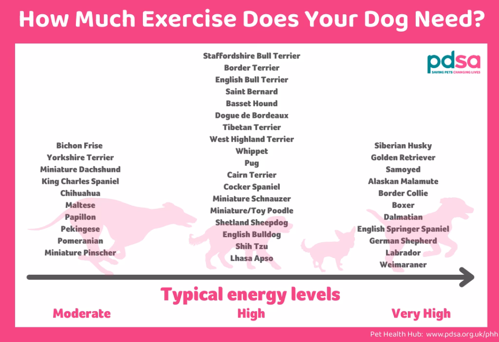 Can I join PDSA pet care?