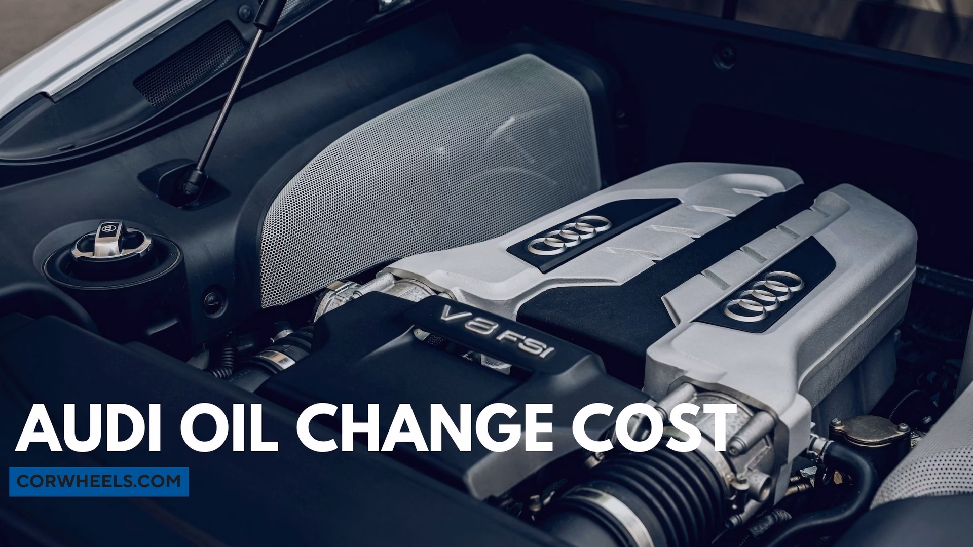 How much does Audi oil cost?