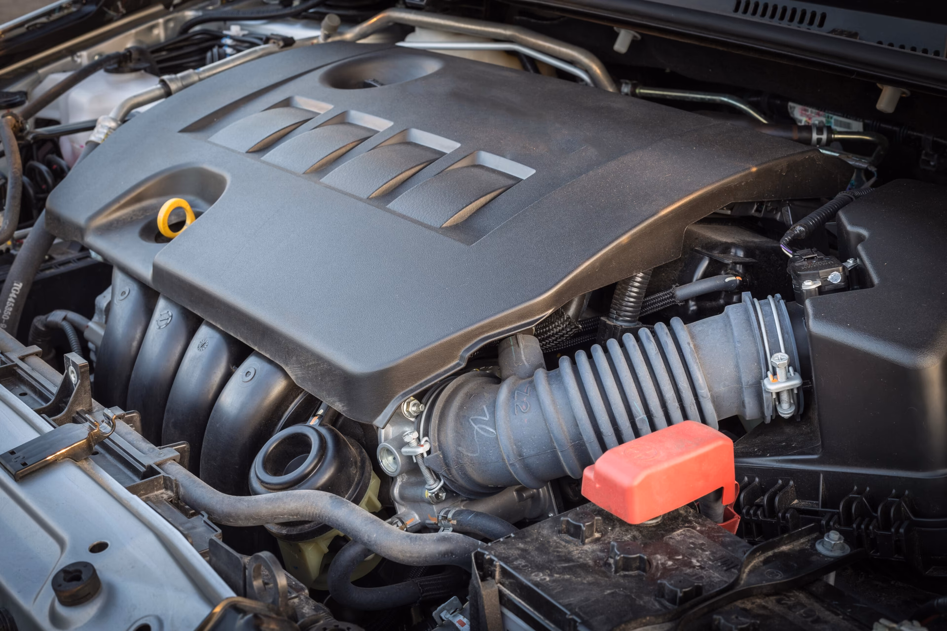Should I get a specialist garage to rebuild my engine?