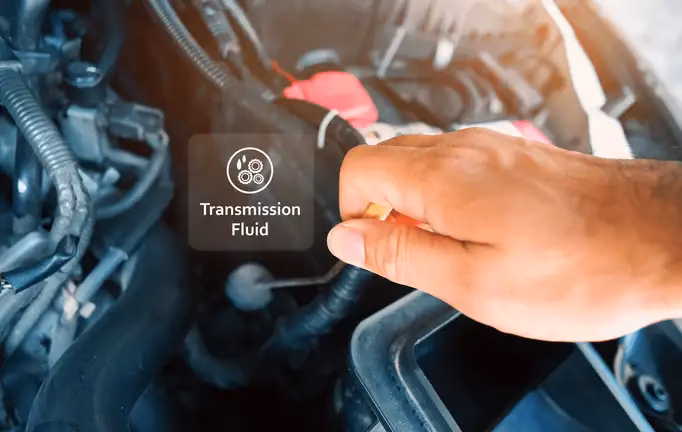 When should I change transmission fluid?