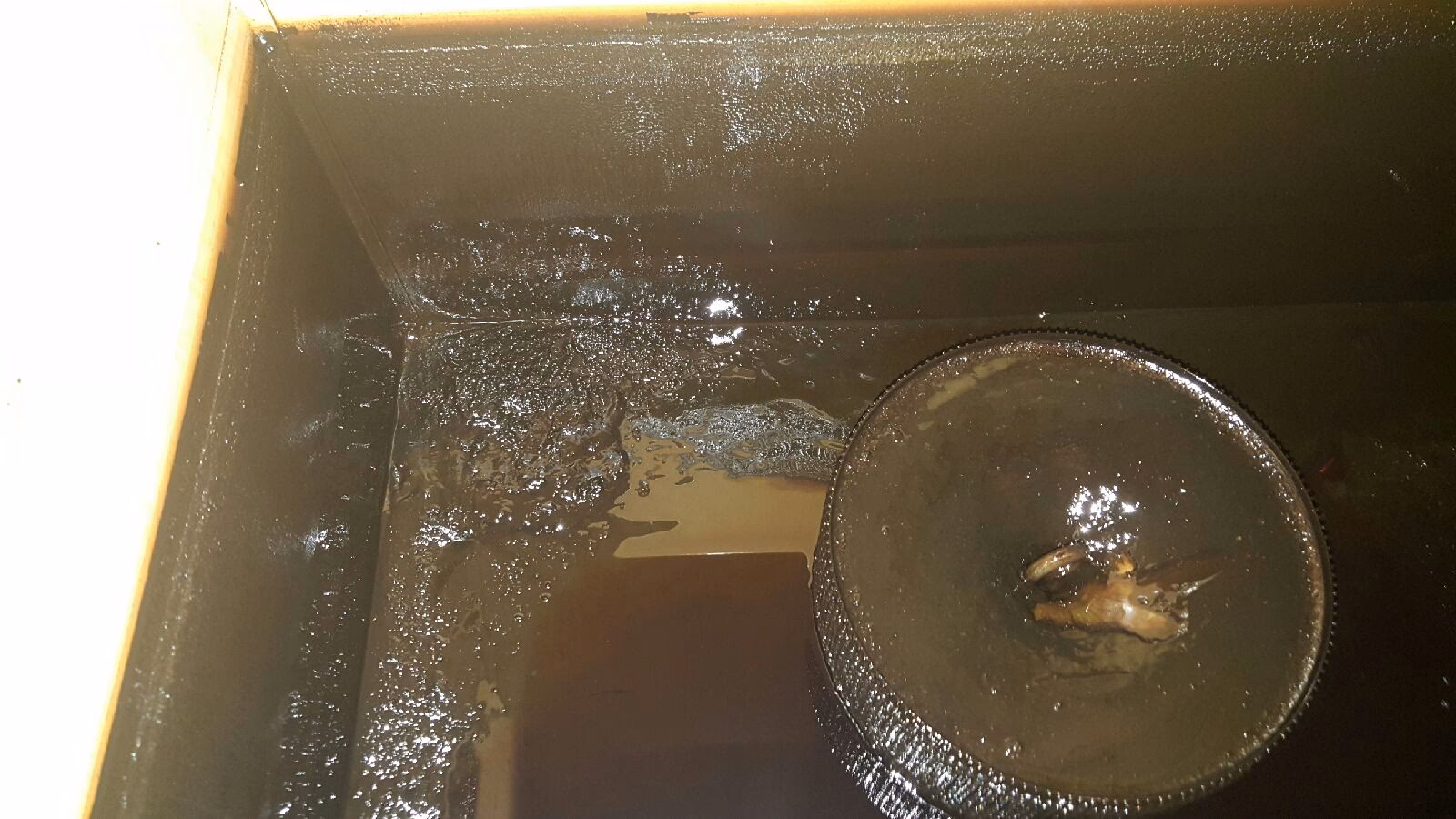 How do you maintain hydraulic elevator efficiency?