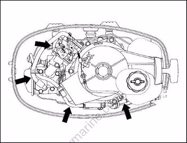 What kind of gasoline can be used in a Suzuki DF4?